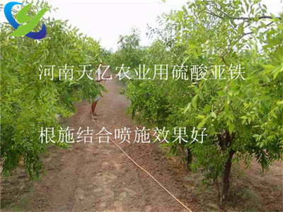 新余食品級硫酸亞鐵, 鷹潭制藥級硫酸亞鐵-硫酸亞鐵-硫酸亞鐵絮凝劑- 新余食品級硫酸亞鐵